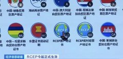 《區(qū)域全面經(jīng)濟(jì)伙伴關(guān)系協(xié)定》RCEP正式生