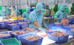 越南前四個月水產(chǎn)品出口激增近 44%