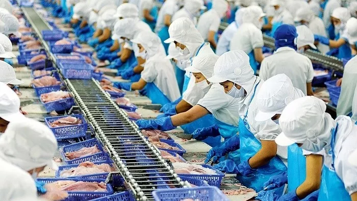 2022年二季度越南水產(chǎn)品出口額或創(chuàng)紀錄